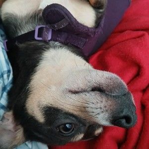 Meet your Posher, Angela